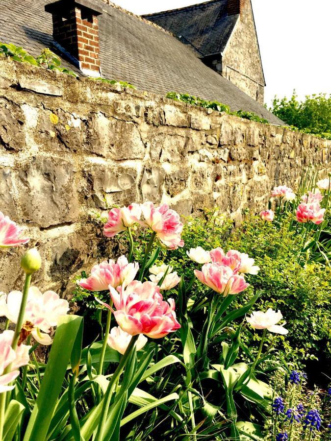 Gite La Petite Beurrerie Des Ardennes Celles  Exterior foto