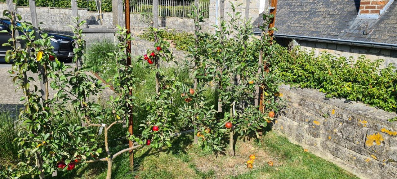 Gite La Petite Beurrerie Des Ardennes Celles  Exterior foto