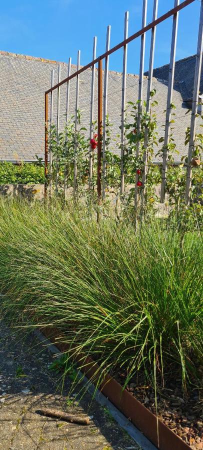 Gite La Petite Beurrerie Des Ardennes Celles  Exterior foto